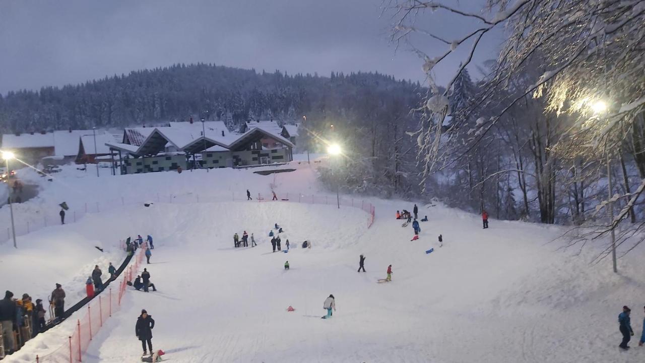 Vila Gorska Kuca Elin Brod na Kupi Exteriér fotografie